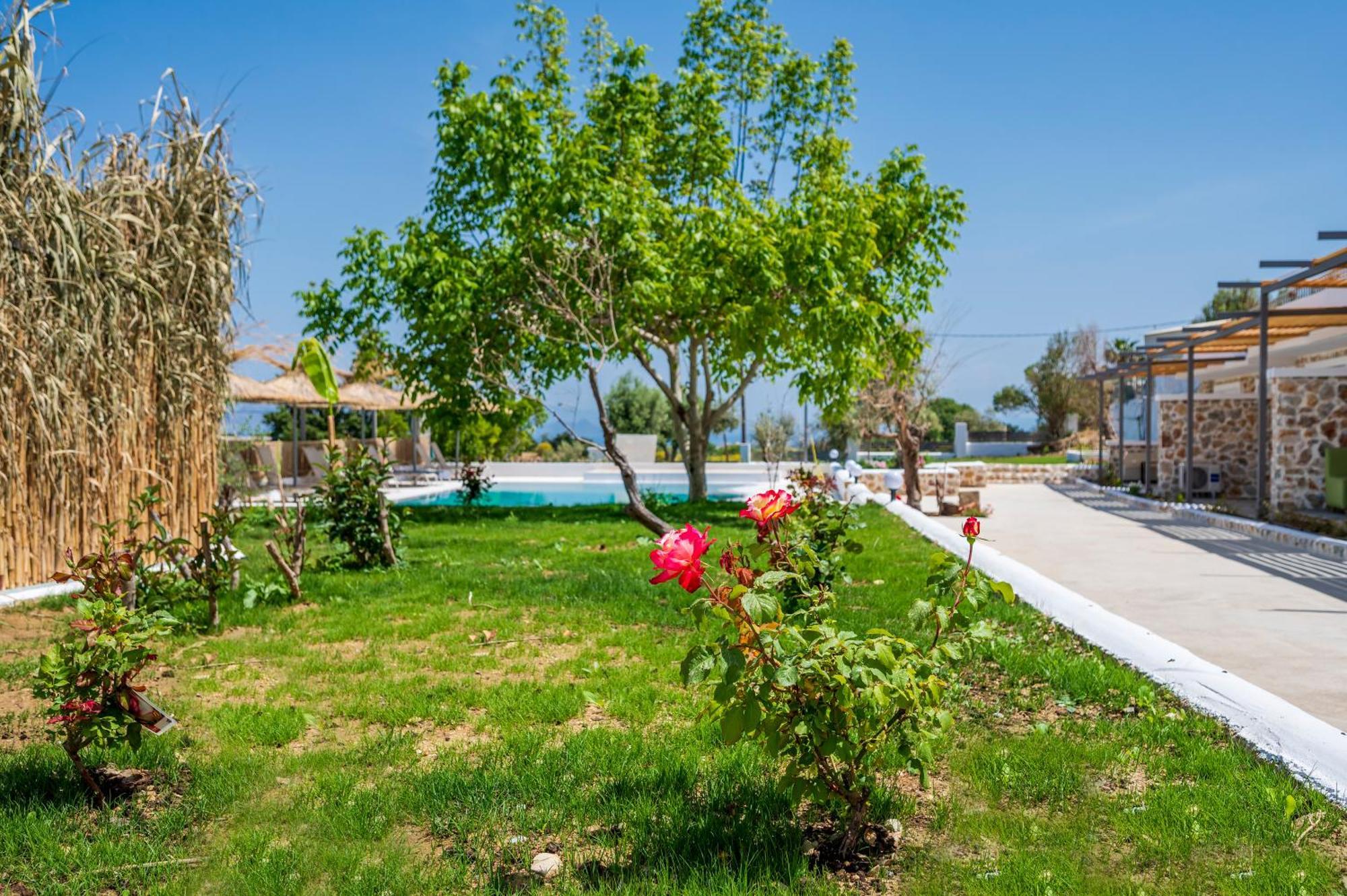 Homes Eva'S Garden, Poolside Cozy Havens In Kos Agios Dimitrios  Exterior photo